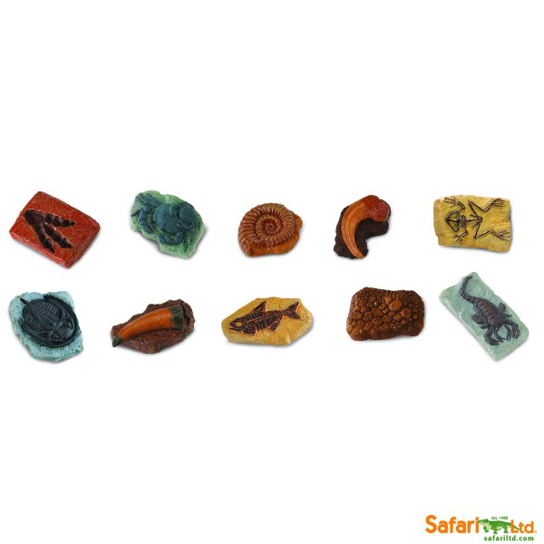 ancient-fossils-551bd8964a7a4-w720