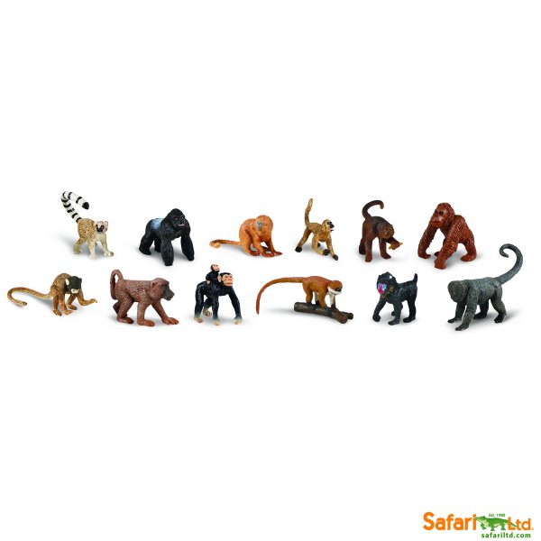 monkeys-and-apes-551bd8828e8fc-w720